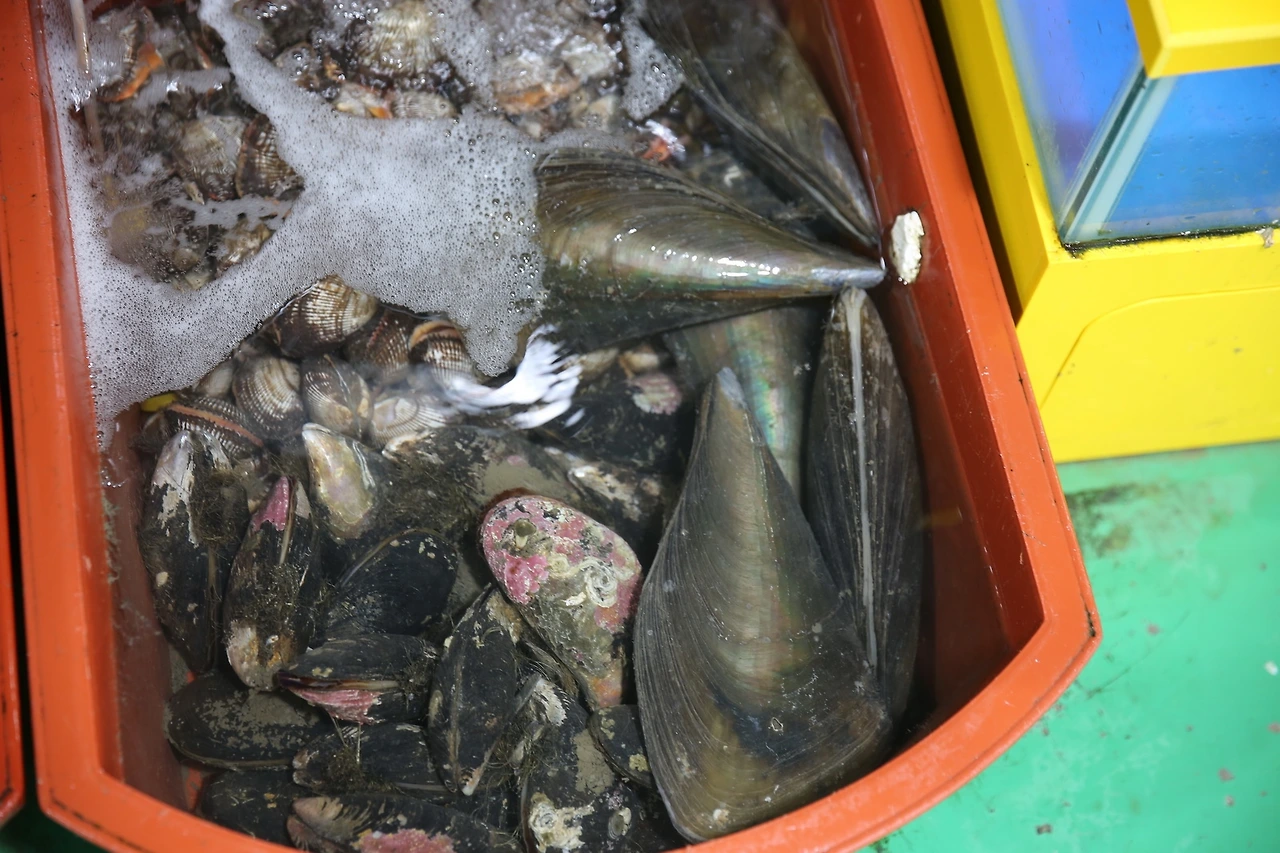 MG0A0711_новый размер.JPG