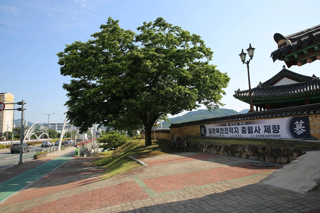 MG0A5054_новый размер.JPG