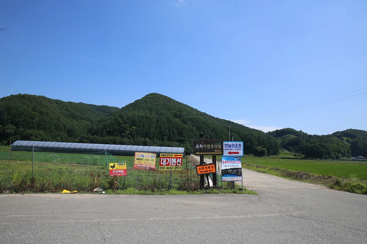 MG0A2216_новый размер.JPG