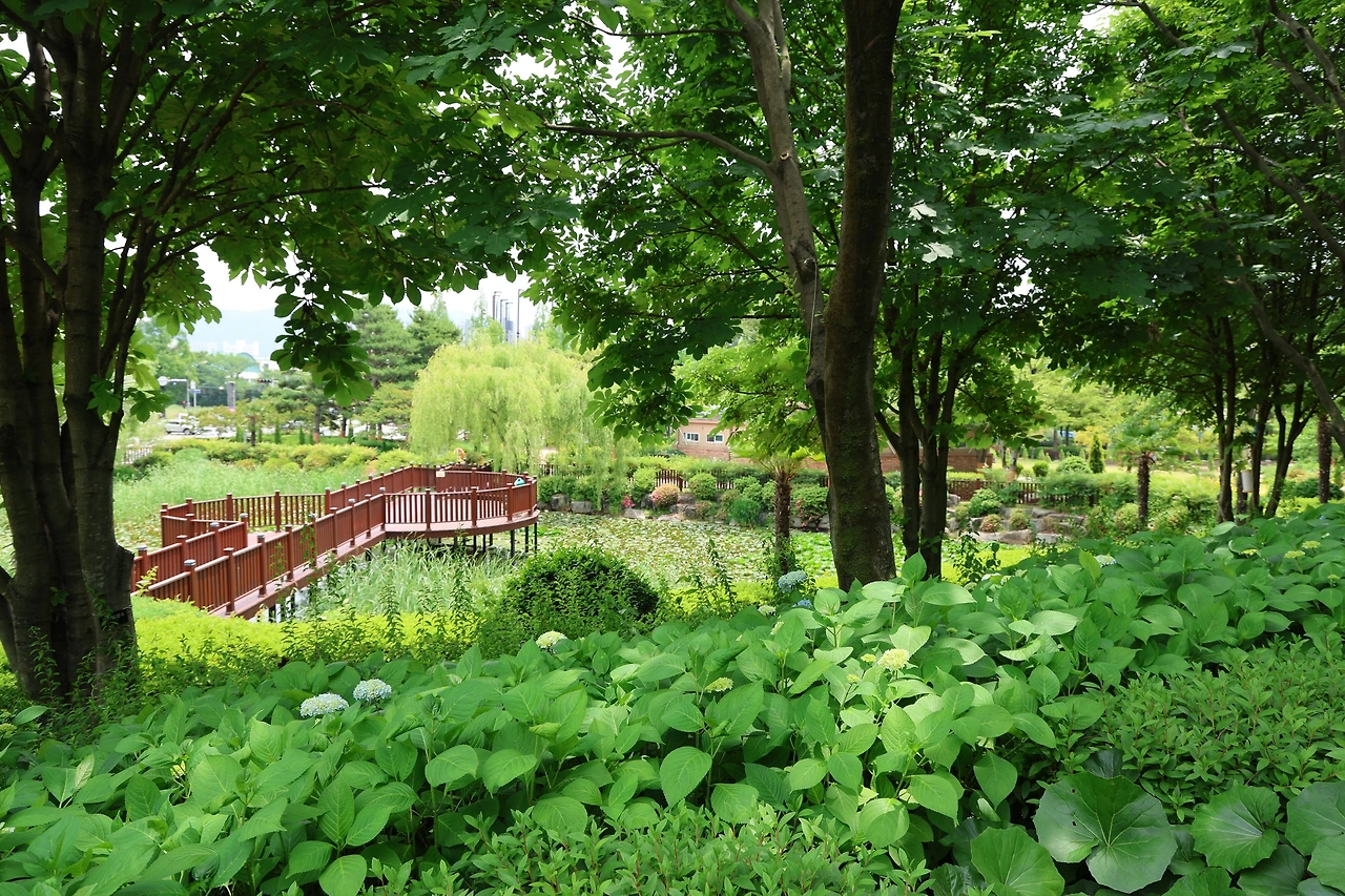 0R5A4565_новый размер.JPG