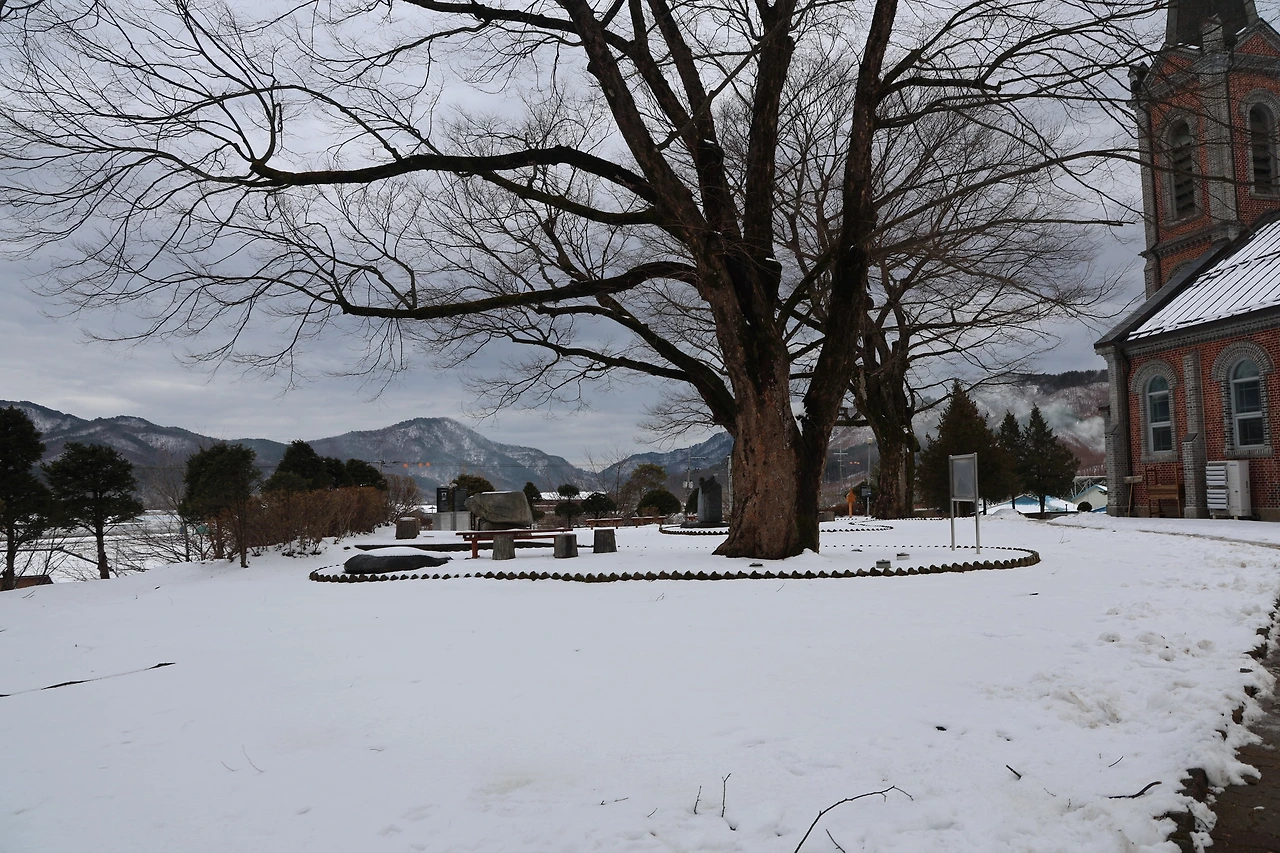 0R5A1687_новый размер.JPG