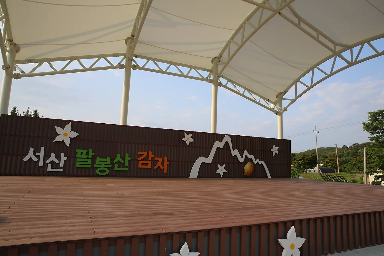 MG0A1972_новый размер.JPG