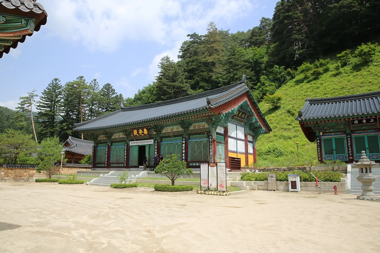 MG0A0787_новый размер - 복사본.JPG