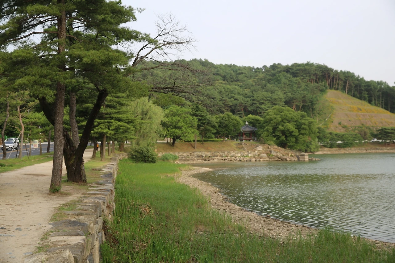 MG0A1202_новый размер.JPG