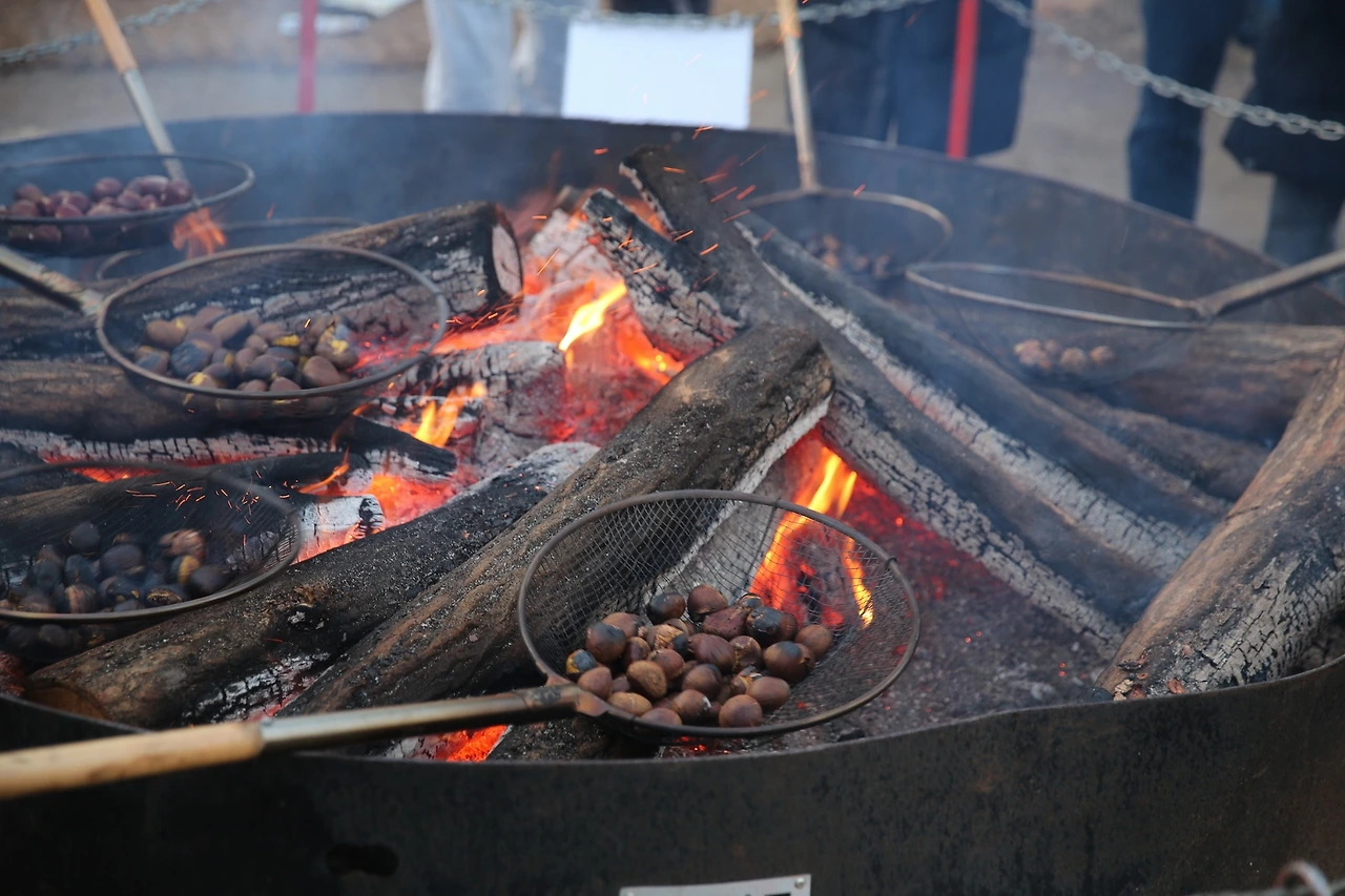 MG0A8797_новый размер.JPG