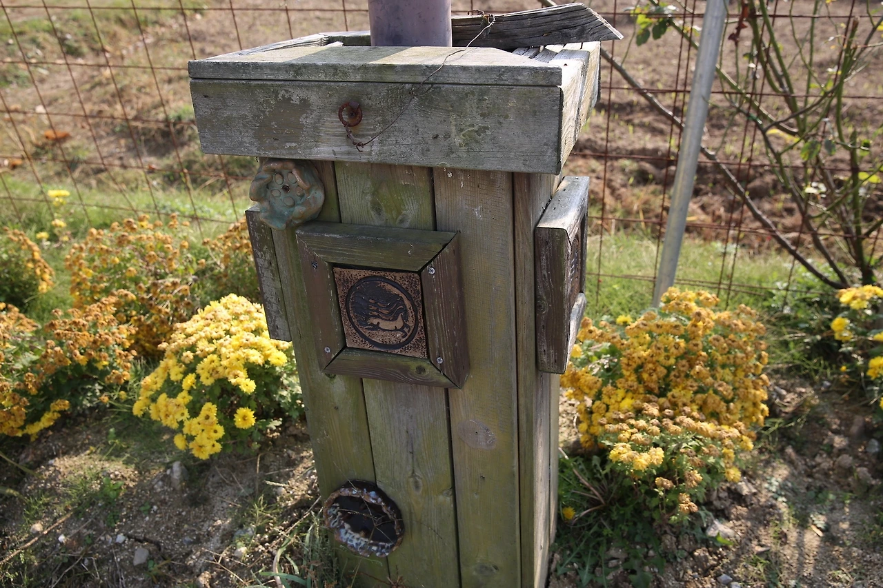 MG0A0809_новый размер.JPG