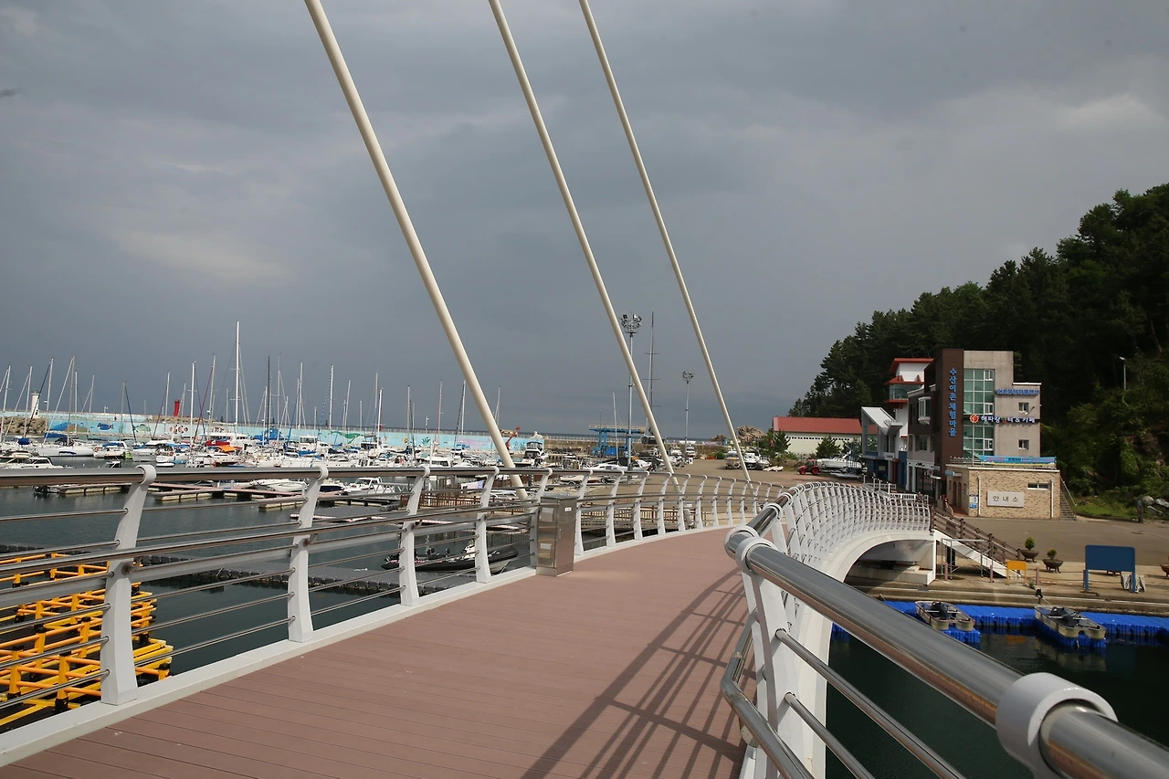 MG0A1103_новый размер.JPG