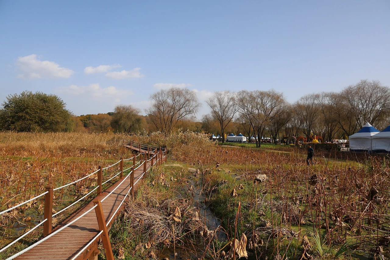 0R5A2423_новый размер.JPG