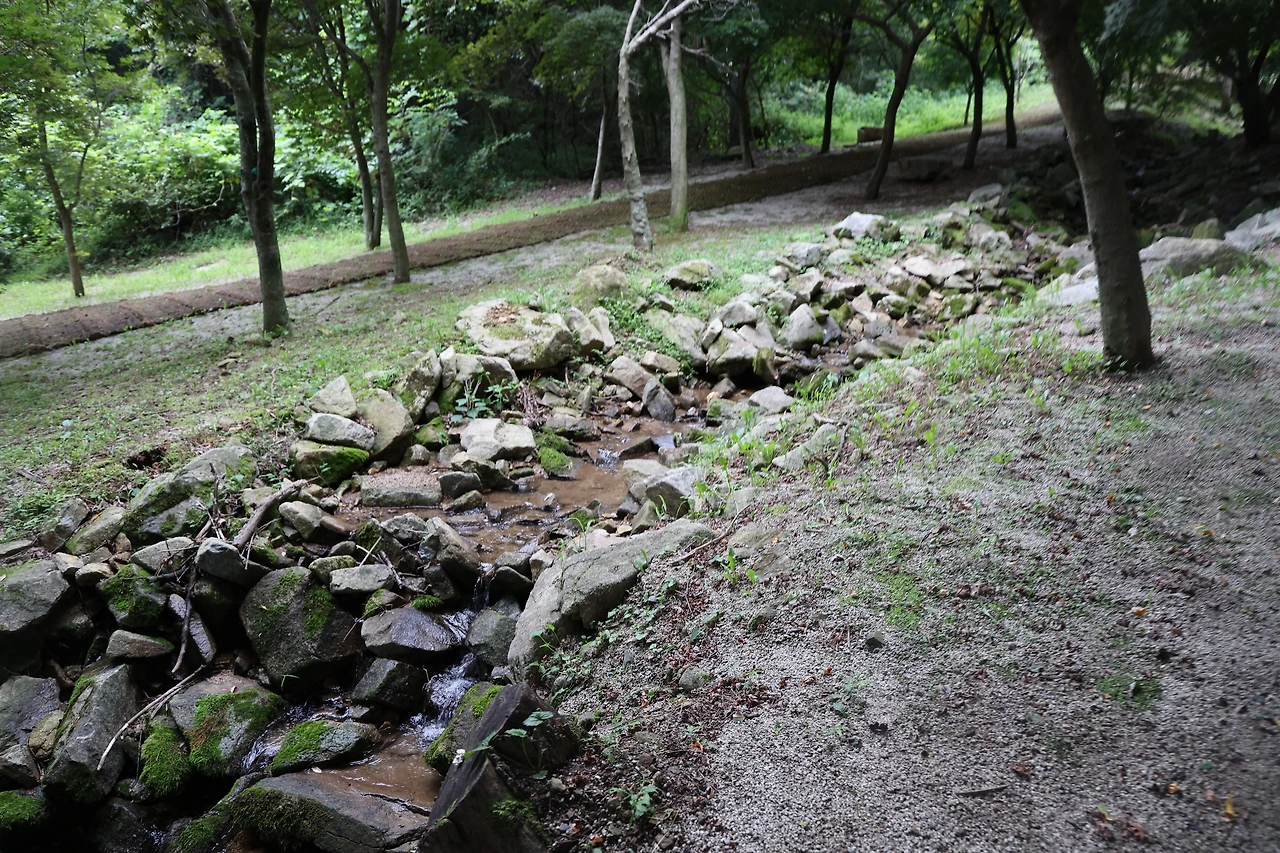 0R5A2831_новый размер.JPG