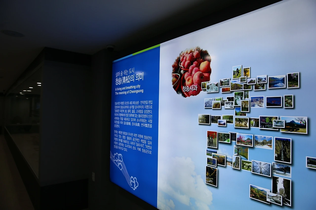 MG0A2839_новый размер.JPG