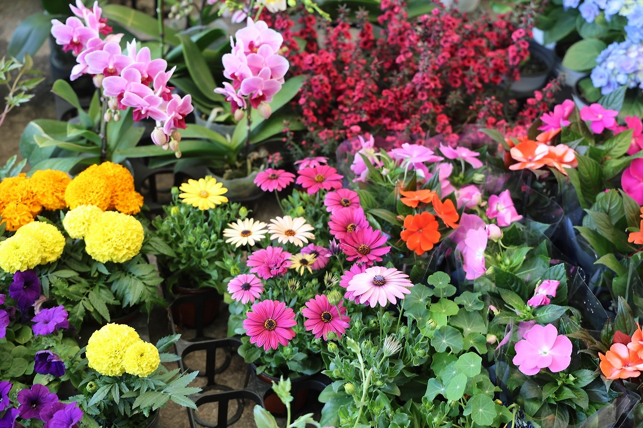 0R5A6422_новый размер.JPG