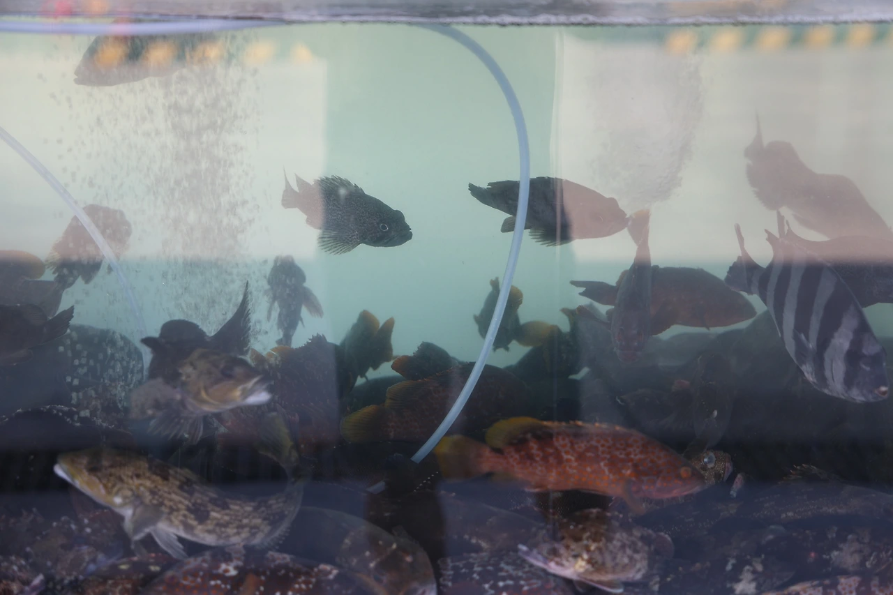 0R5A1788_новый размер.JPG