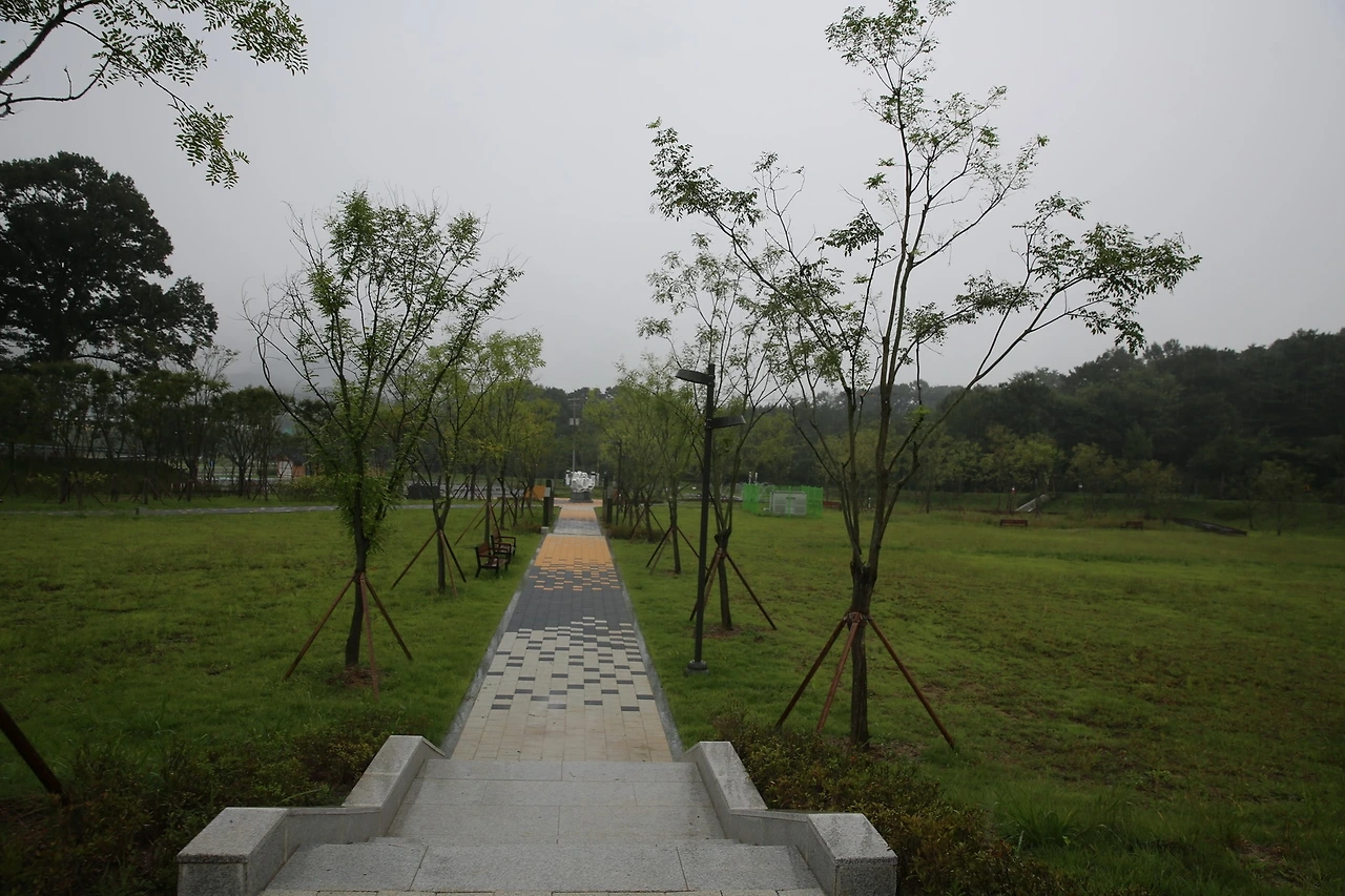 MG0A1746_новый размер.JPG