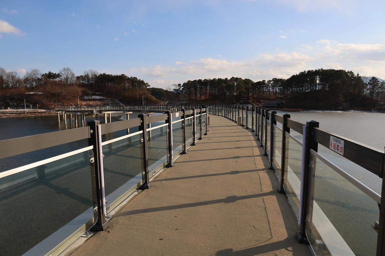 0R5A8035_новый размер.JPG