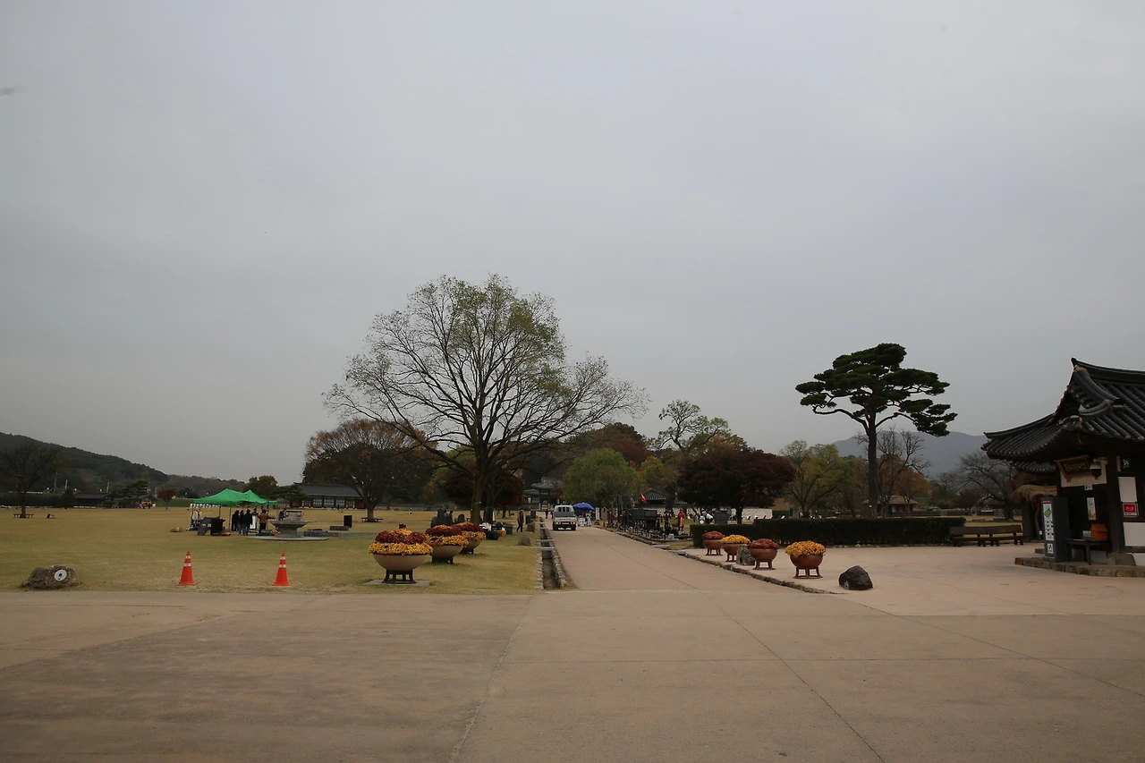 MG0A9569_новый размер.JPG