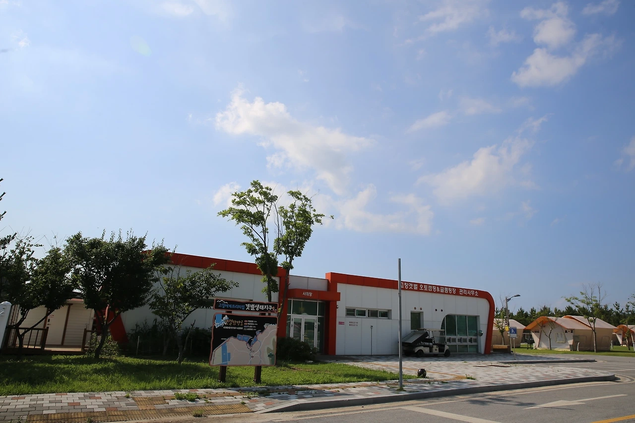 MG0A4600_новый размер.JPG