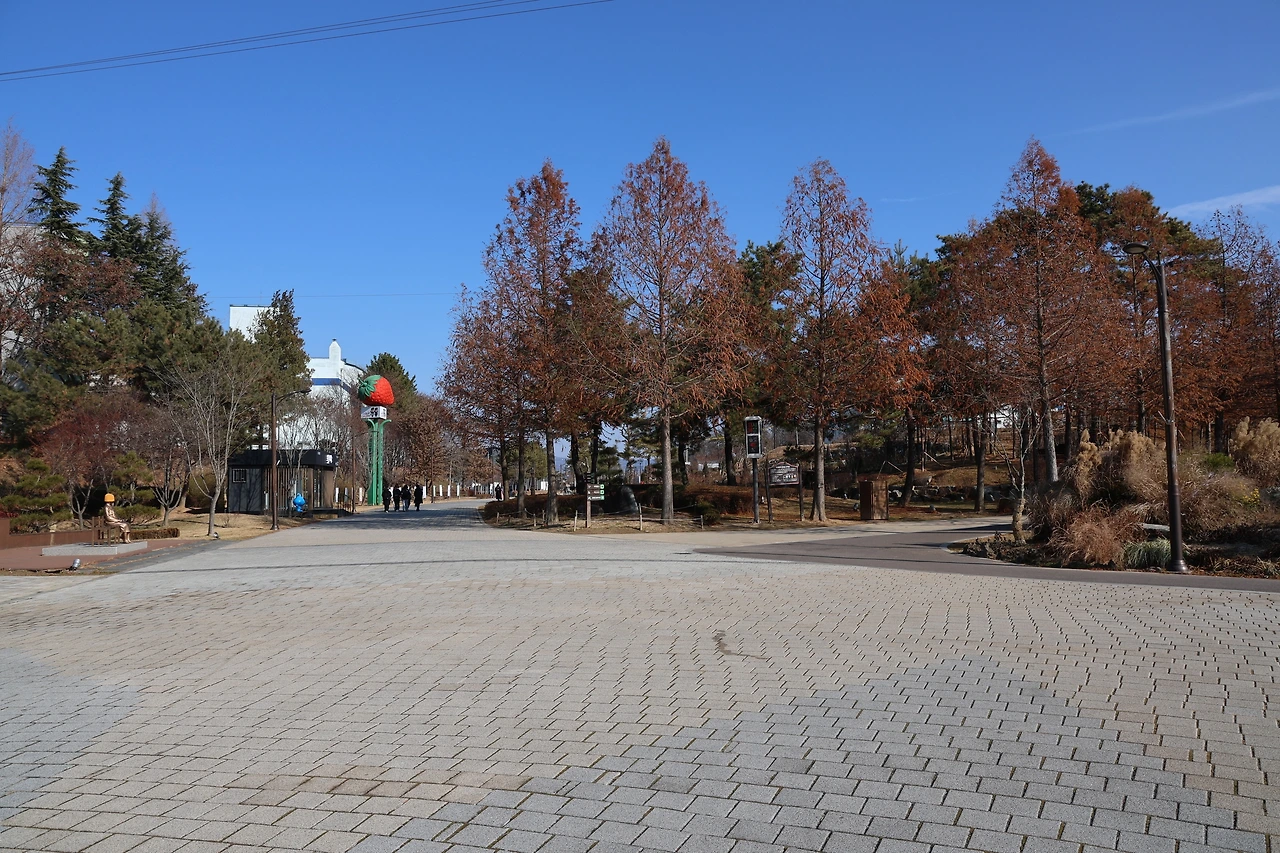 0R5A7406_новый размер.JPG