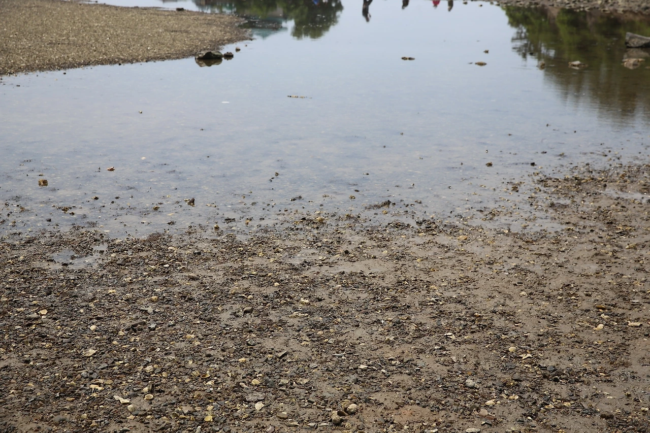 MG0A6236_новый размер.JPG