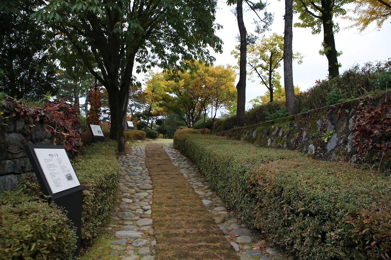 MG0A7703_новый размер.JPG