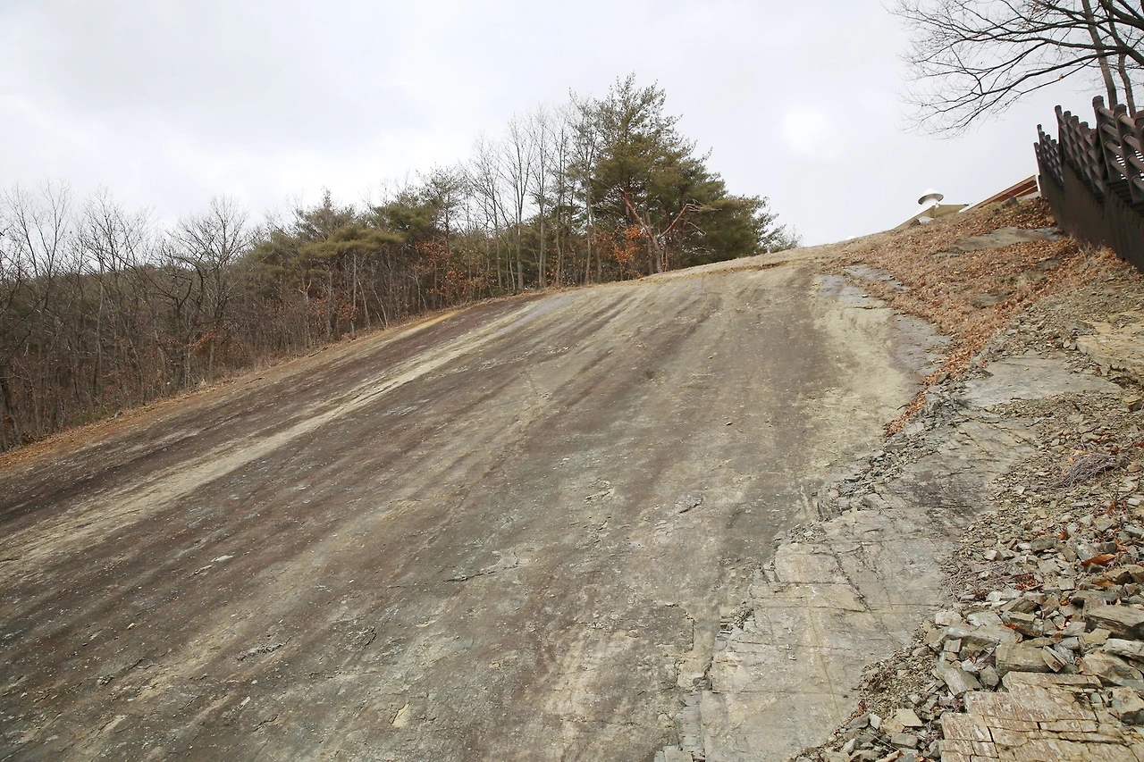 MG0A2964_новый размер_exposure.JPG