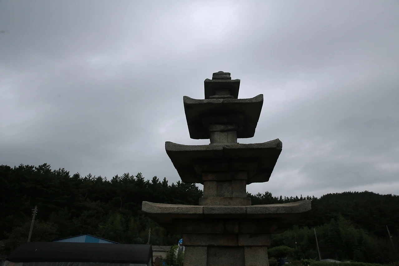 MG0A2470_новый размер.JPG