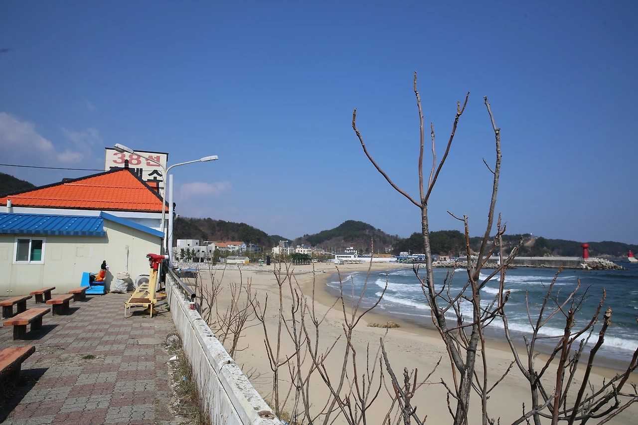 MG0A5171_новый размер.JPG