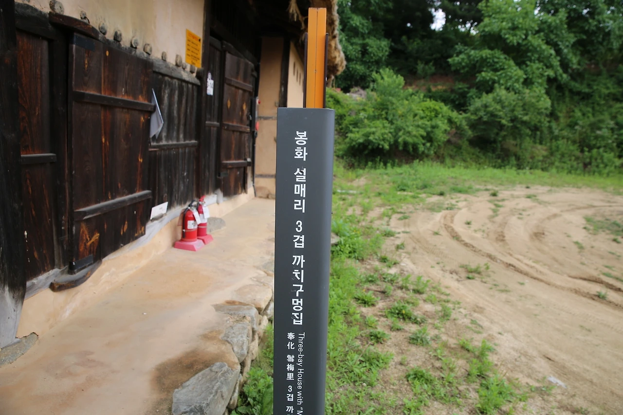 MG0A0460_новый размер.JPG