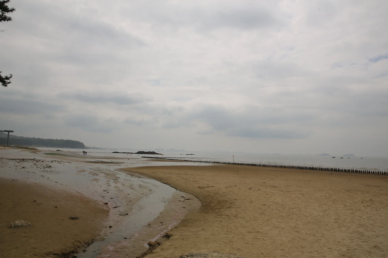 MG0A0550_новый размер.JPG