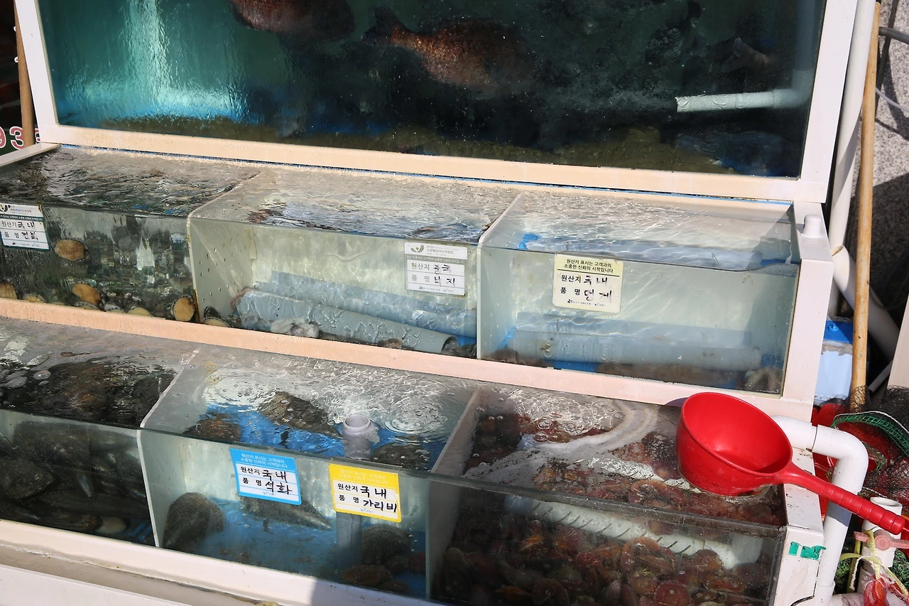 MG0A3485_новый размер.JPG