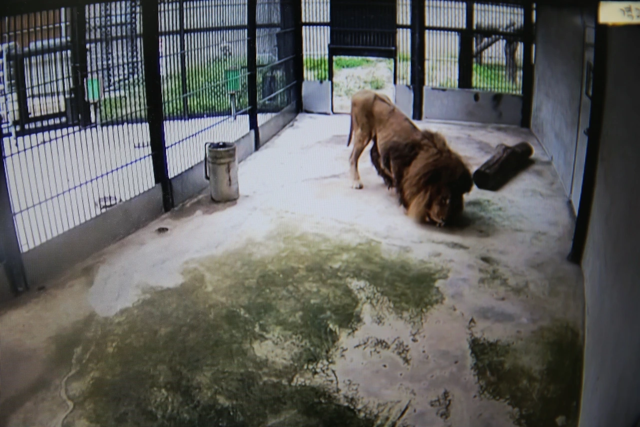 MG0A9628_новый размер.JPG