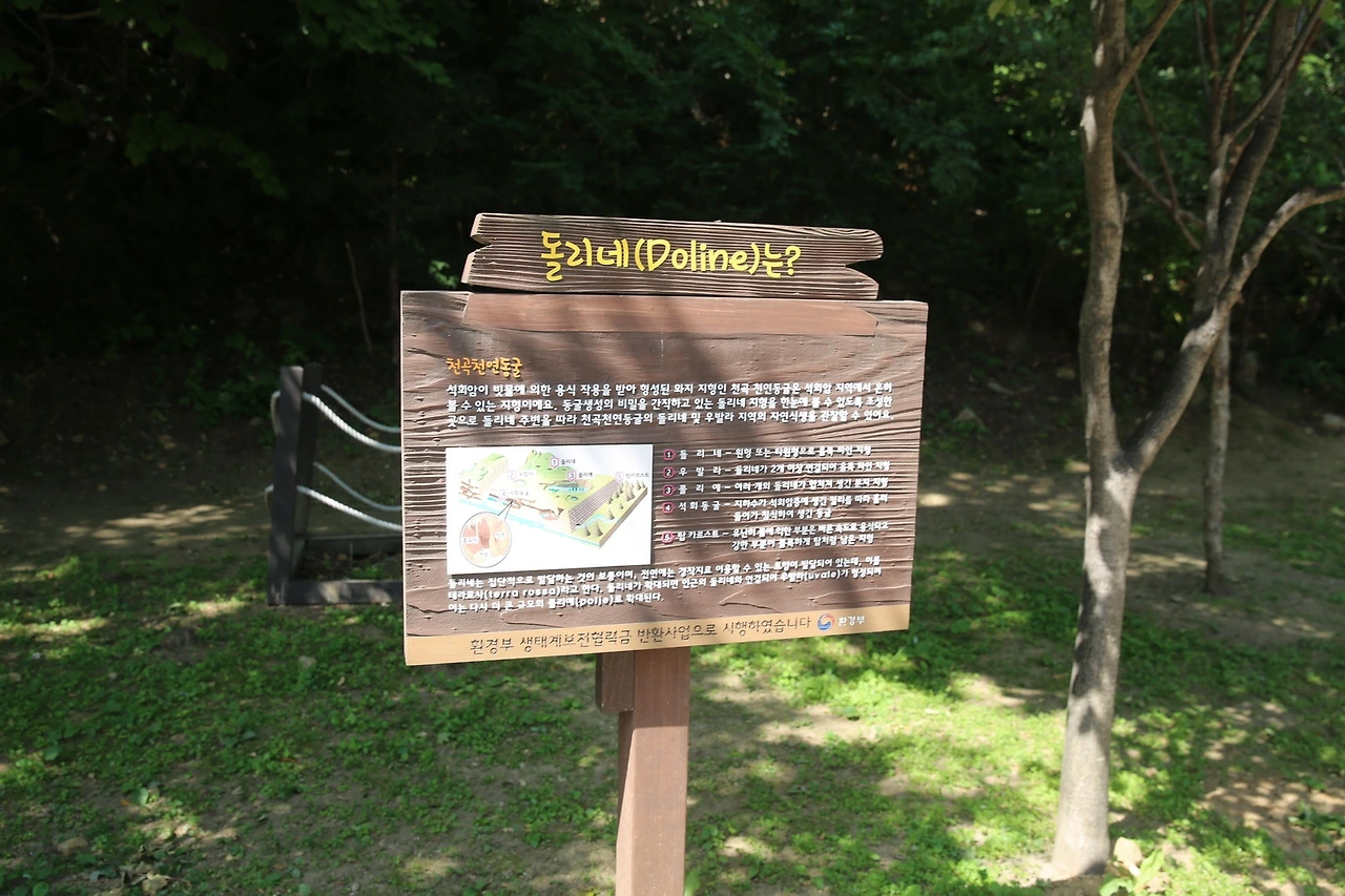 MG0A0065_новый размер.JPG