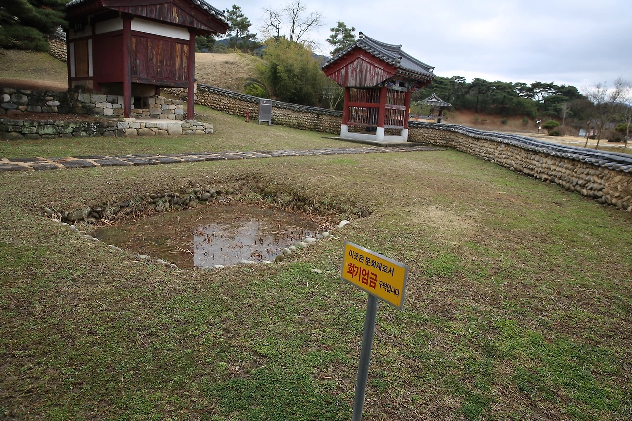 MG0A0493_новый размер.JPG