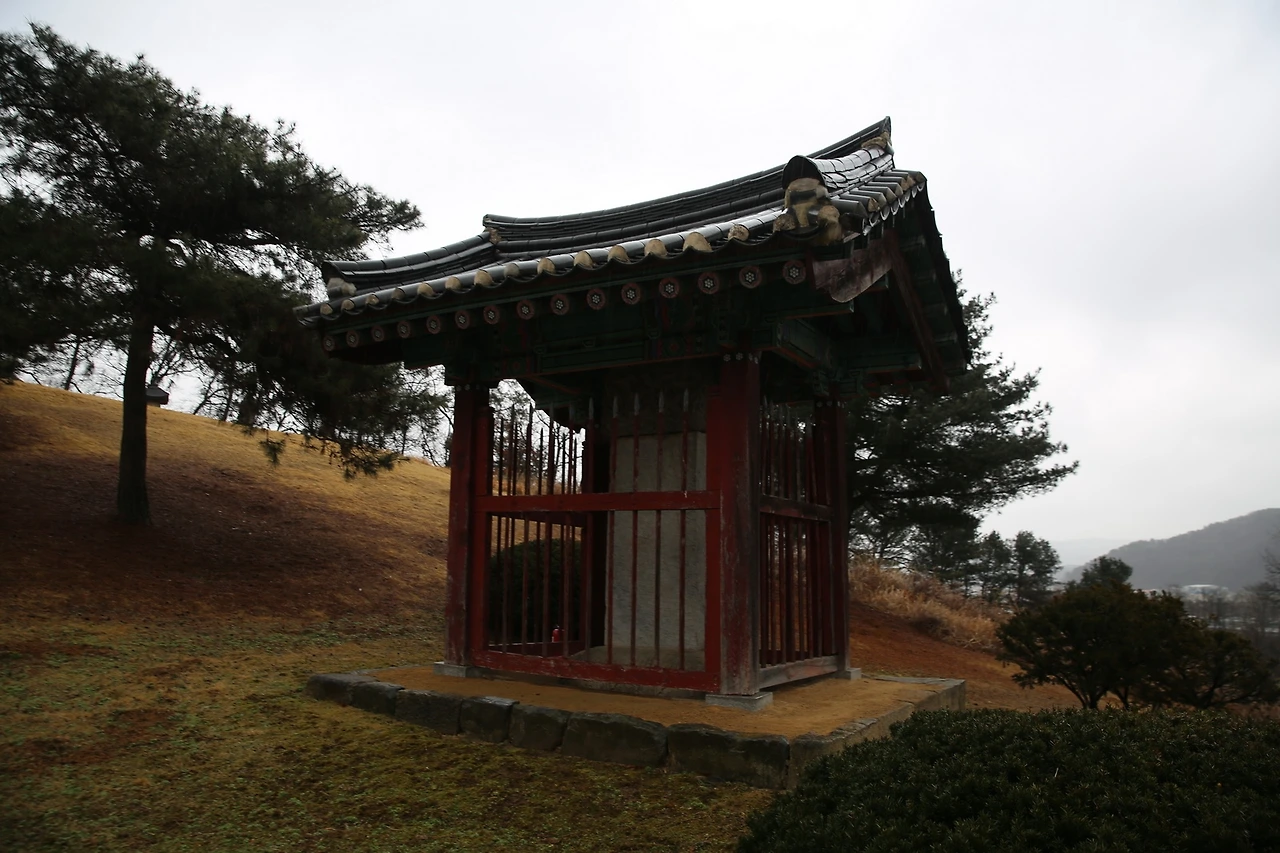 MG0A9889_новый размер.JPG