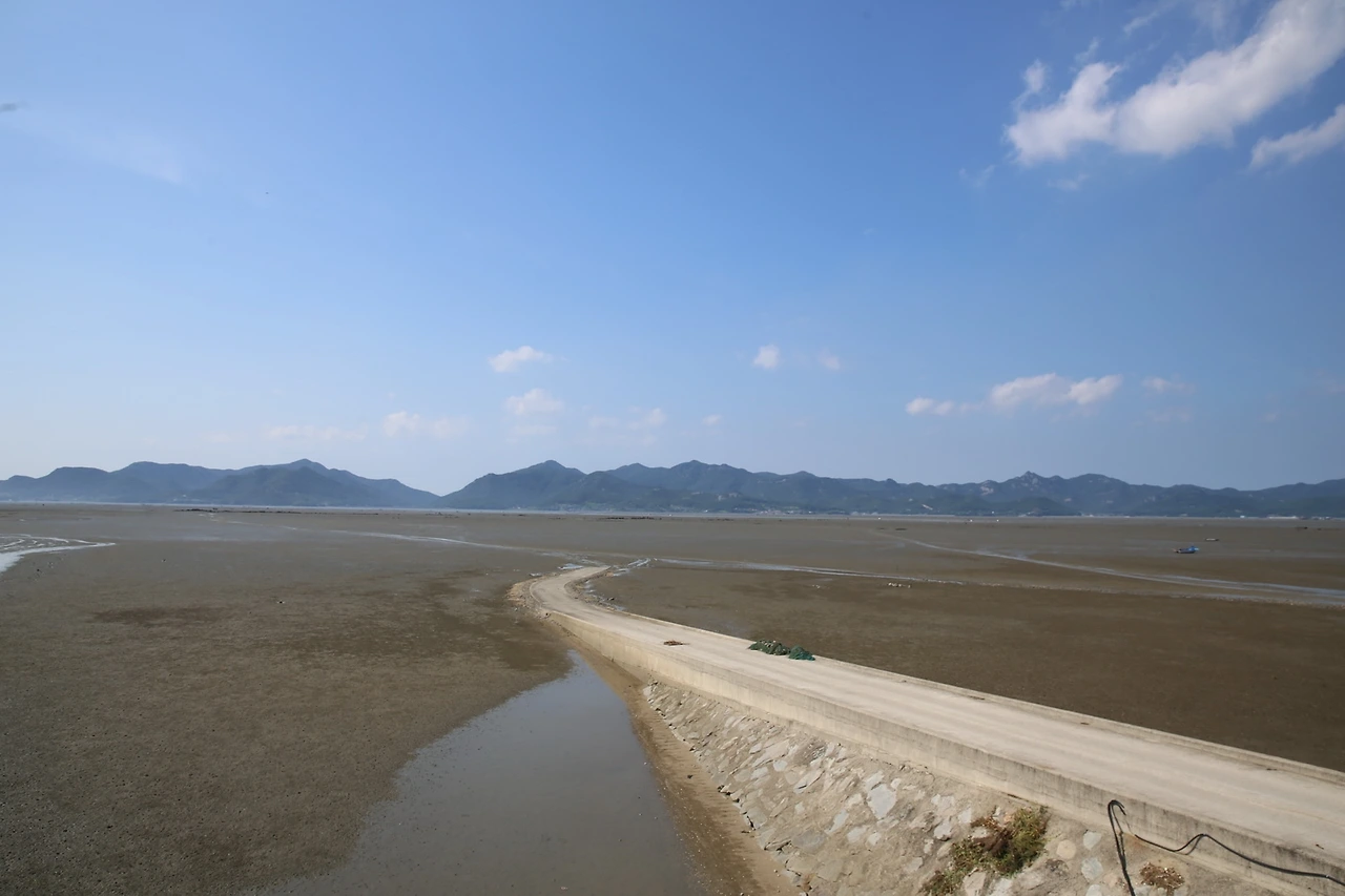 MG0A4592_новый размер.JPG