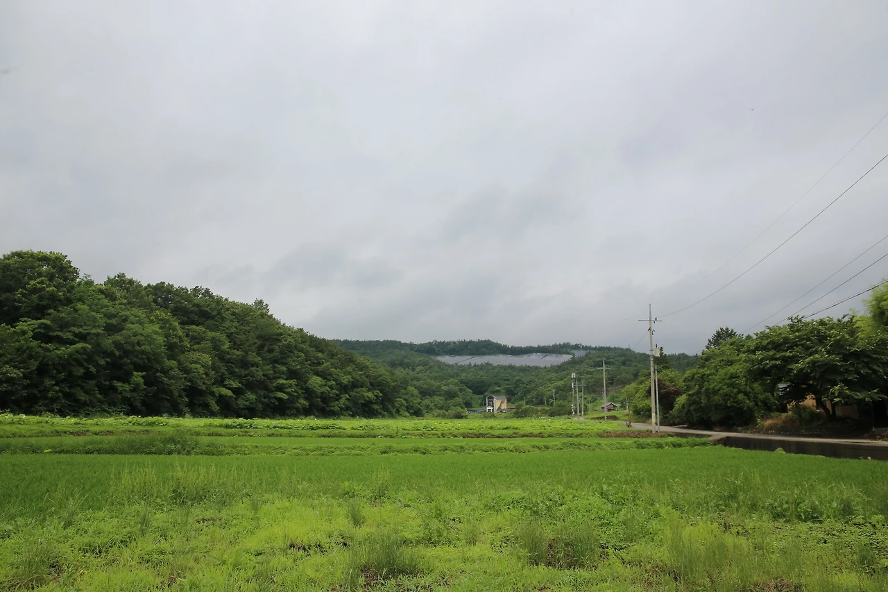 MG0A3686_новый размер.JPG