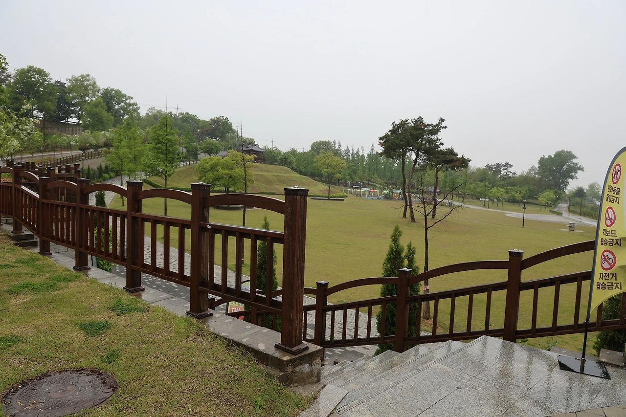 0R5A9950_новый размер.JPG