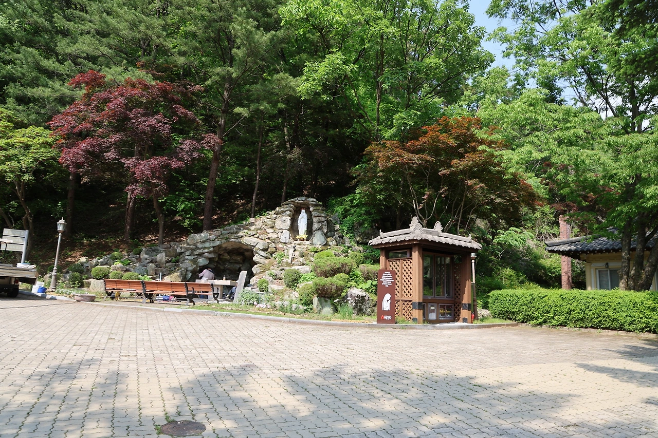 0R5A1479_новый размер.JPG