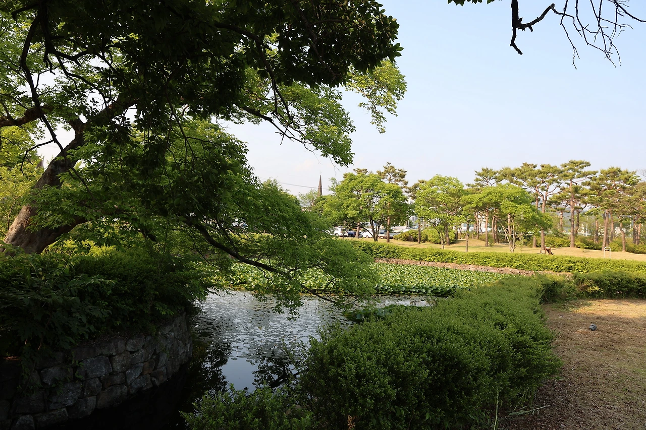 0R5A3009_новый размер.JPG