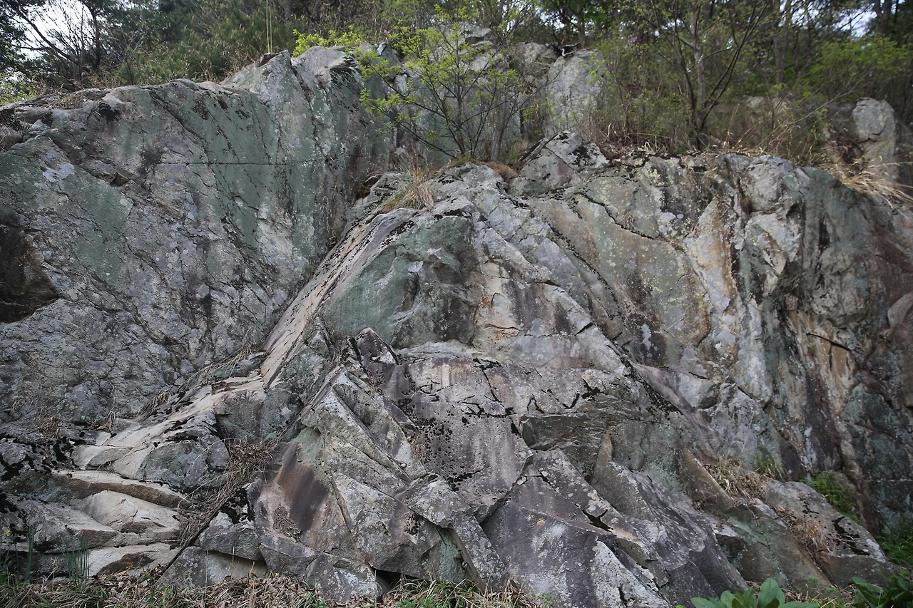 MG0A9502_новый размер.JPG