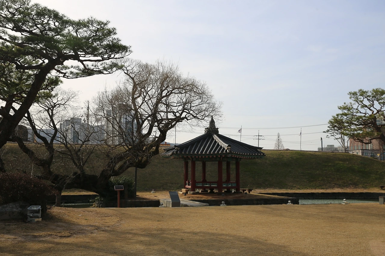 MG0A5885_новый размер.JPG