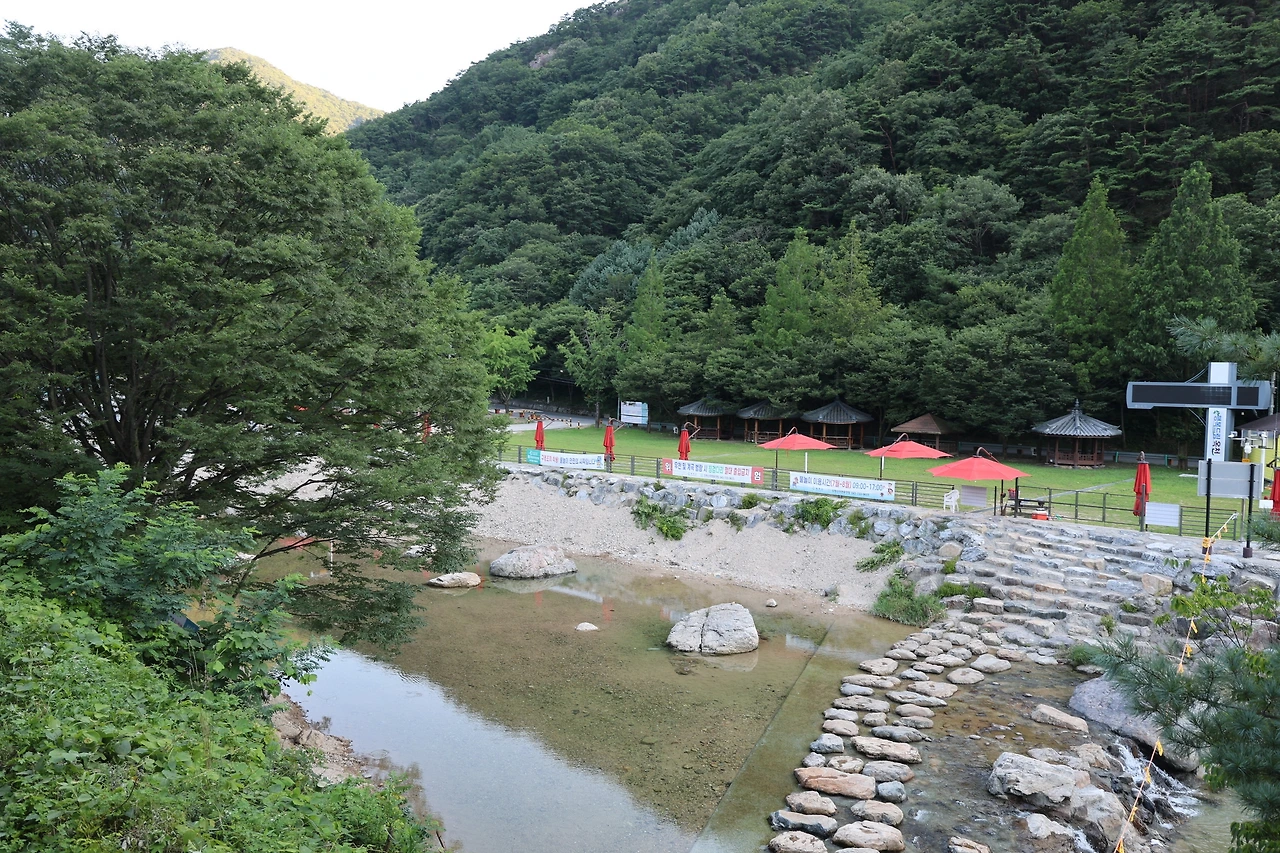 0R5A9891_новый размер.JPG