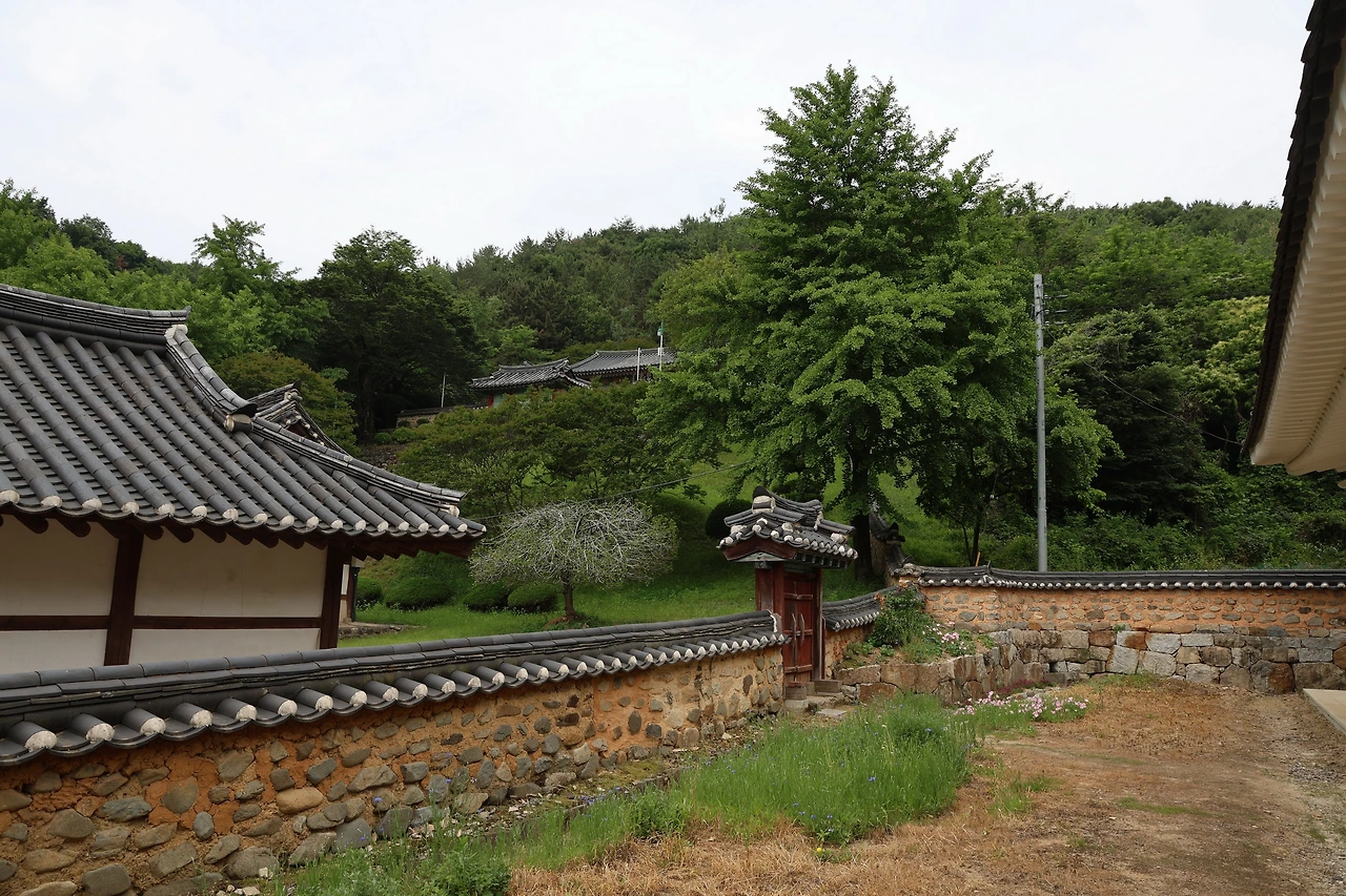 0R5A4348_новый размер.JPG