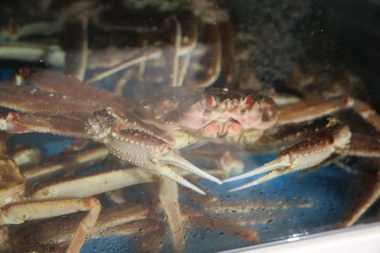 MG0A9959_новый размер.JPG