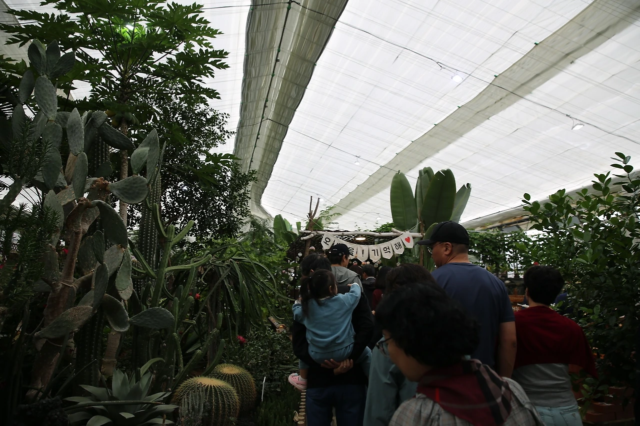 MG0A5536_новый размер.JPG