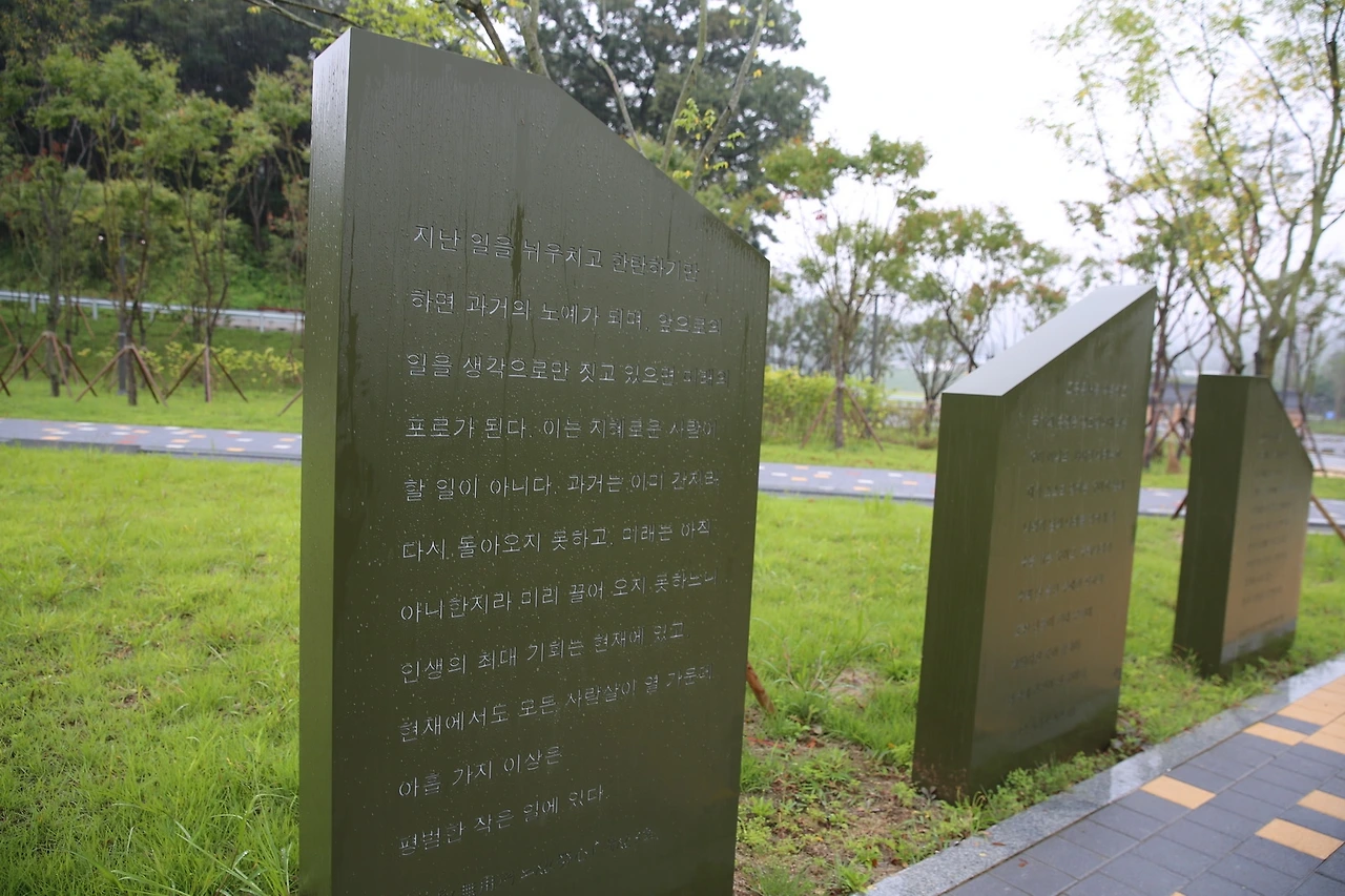 MG0A1749_новый размер.JPG