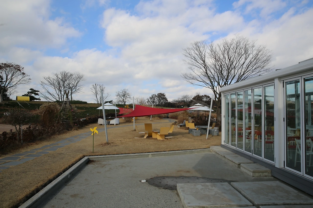 MG0A3183_новый размер.JPG