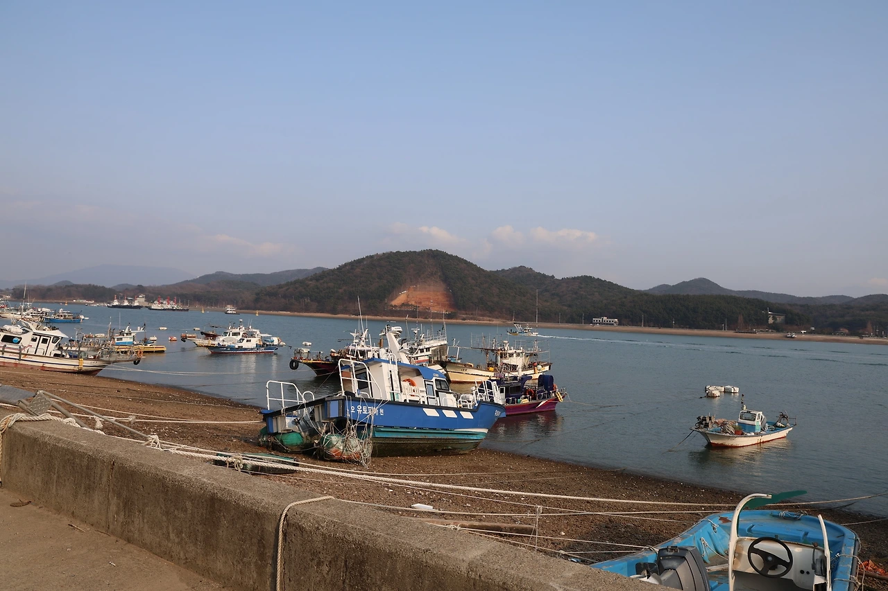 0R5A1955_новый размер.JPG