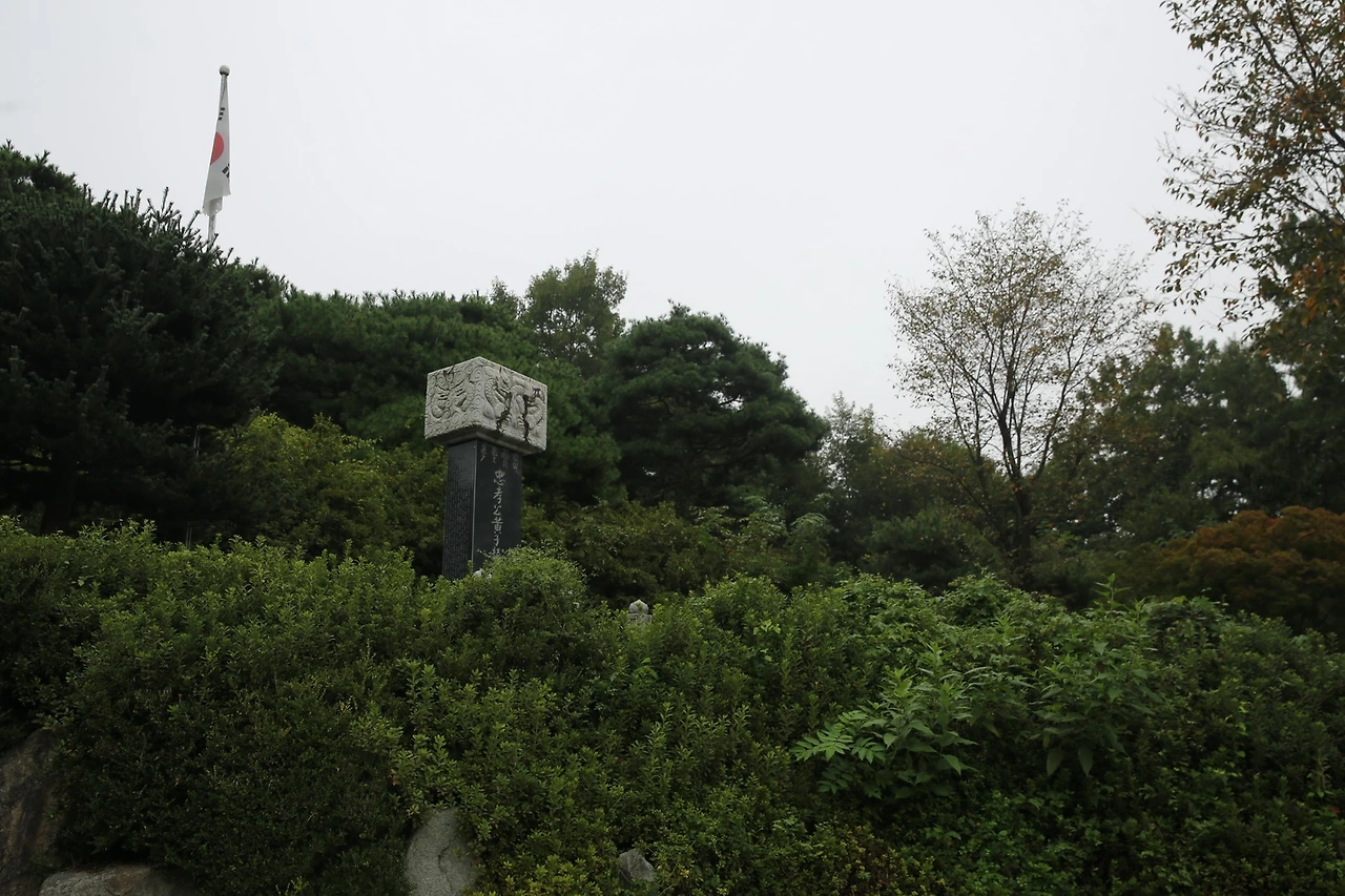 MG0A3556_новый размер.JPG