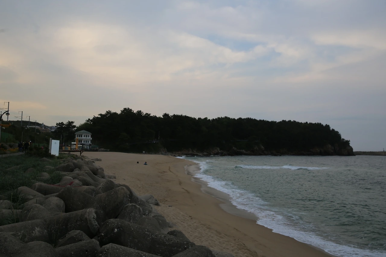 MG0A0599_новый размер.JPG