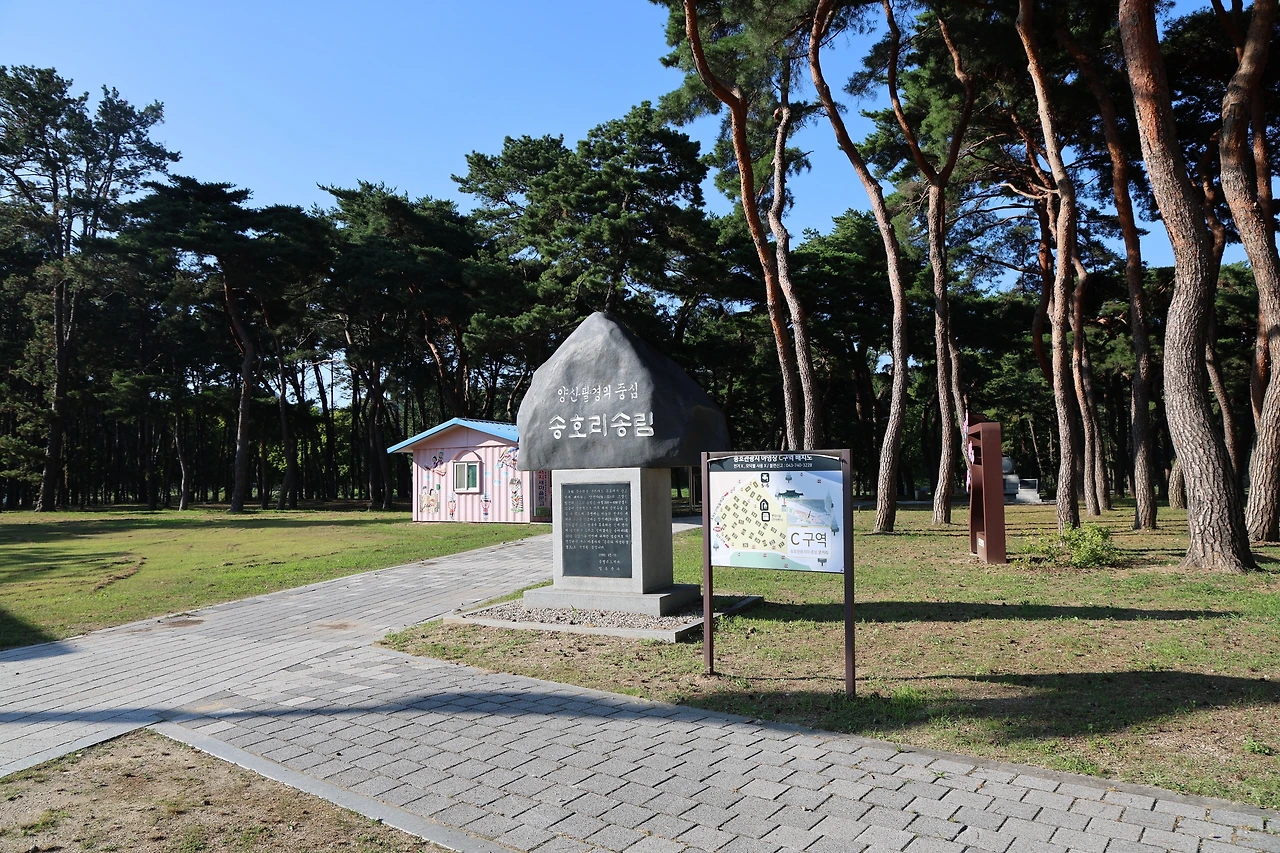 0R5A8093_новый размер.JPG